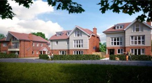 Esher DSS Property
