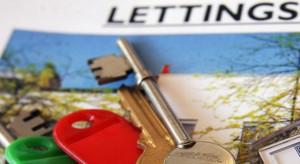 Letting Agents for DSS