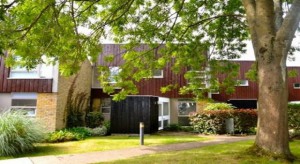 Ashtead DSS Rentals